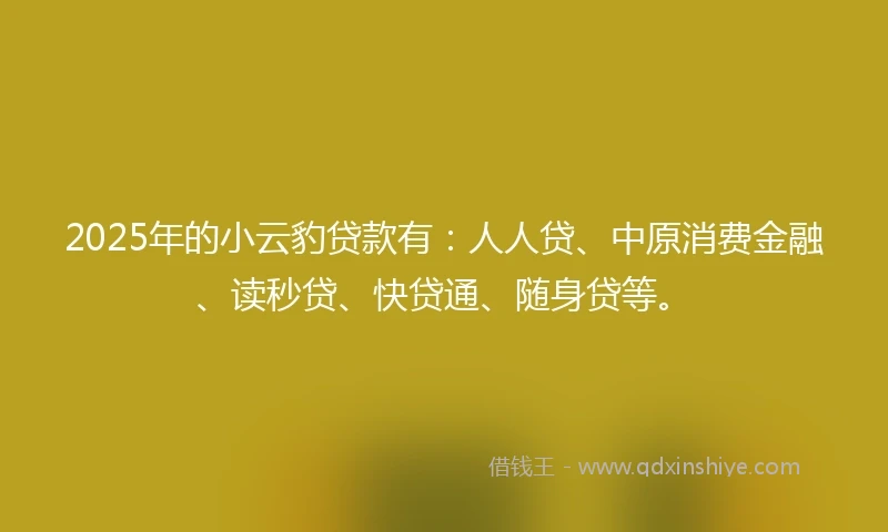 2025年的小云豹贷款有：人人贷、中原消费金融、读秒贷、快贷通、随身贷等。