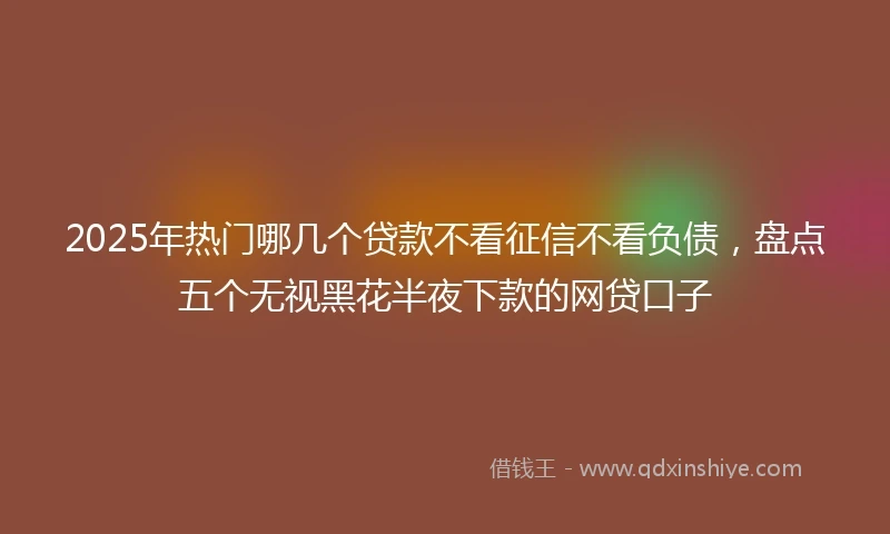 2025年热门哪几个贷款不看征信不看负债,盘点五个无视黑花半夜下款的网贷口子