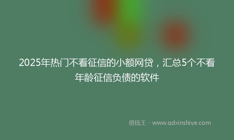 2025年热门不看征信的小额网贷，汇总5个不看年龄征信负债的软件