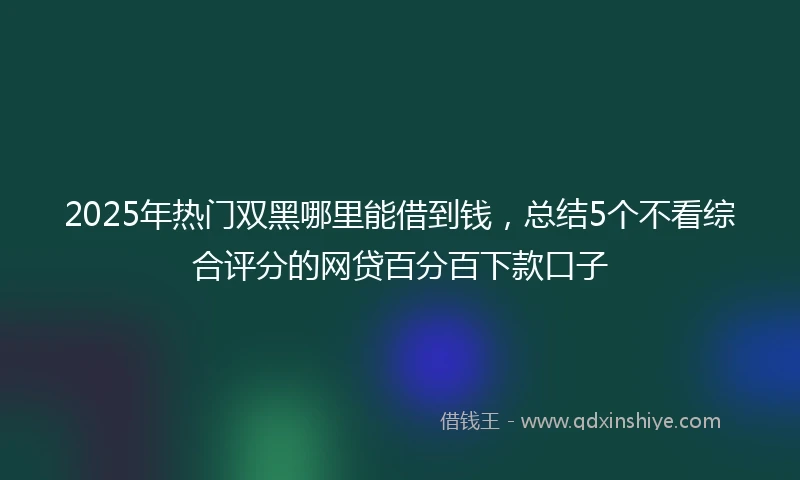 2025年热门双黑哪里能借到钱，总结5个不看综合评分的网贷百分百下款口子