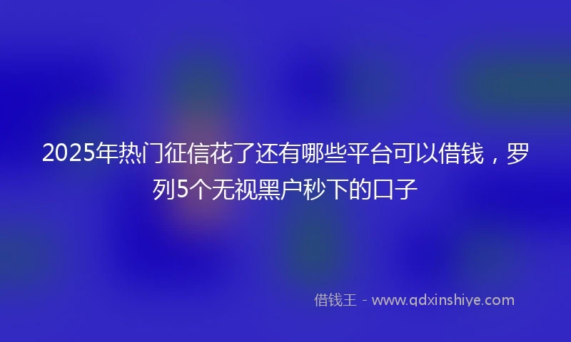 2025年热门征信花了还有哪些平台可以借钱，罗列5个无视黑户秒下的口子