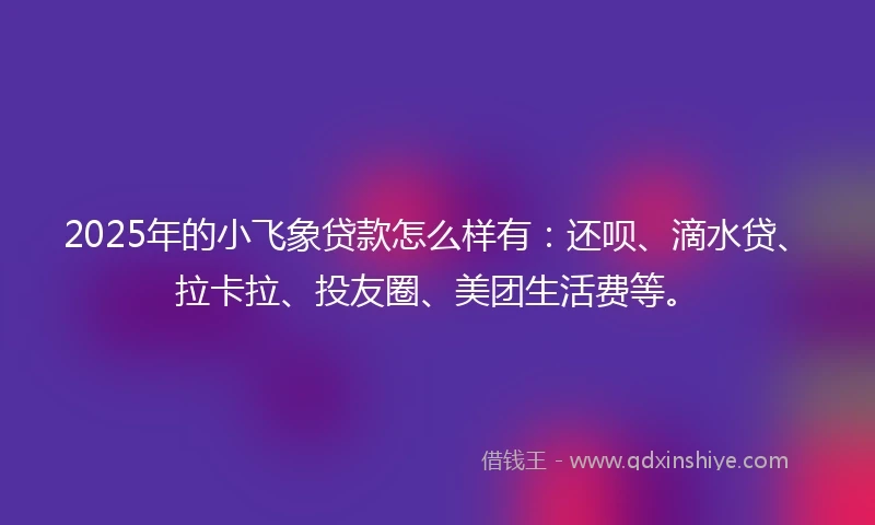 2025年的小飞象贷款怎么样有：还呗、滴水贷、拉卡拉、投友圈、美团生活费等。