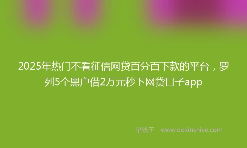 2025年热门不看征信网贷百分百下款的平台，罗列5个黑户借2万元秒下网贷口子app