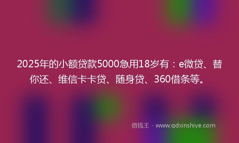 2025年的小额贷款5000急用18岁有：e微贷、替你还、维信卡卡贷、随身贷、360借条等。