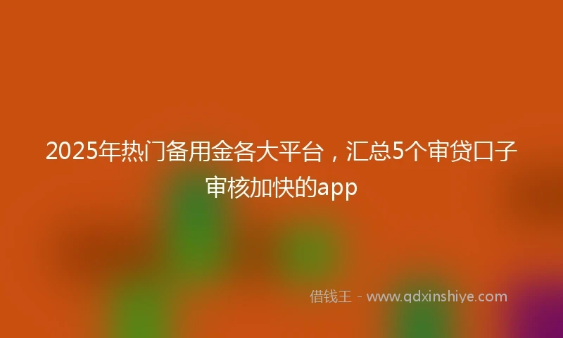 2025年热门备用金各大平台，汇总5个审贷口子审核加快的app