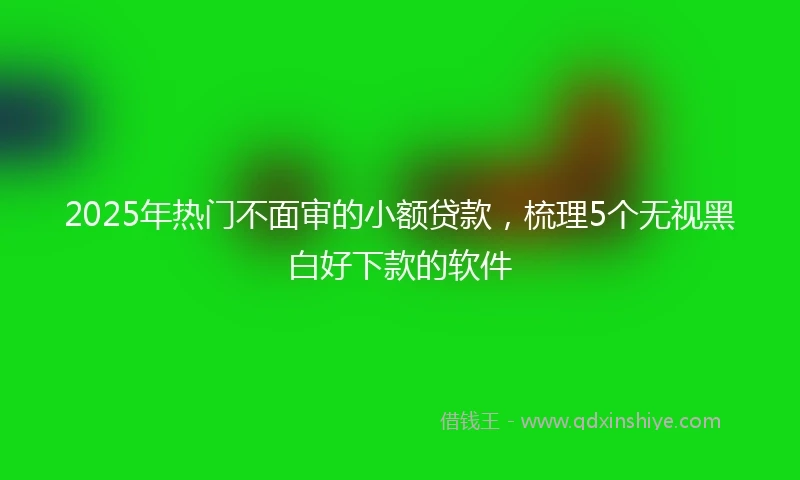 2025年热门不面审的小额贷款，梳理5个无视黑白好下款的软件