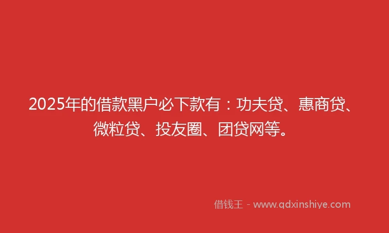 2025年的借款黑户必下款有：功夫贷、惠商贷、微粒贷、投友圈、团贷网等。