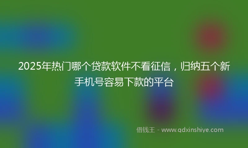 2025年热门哪个贷款软件不看征信，归纳五个新手机号容易下款的平台