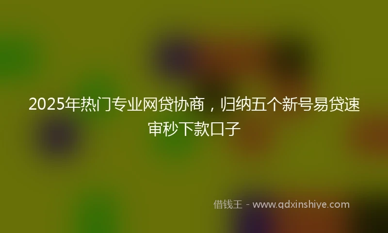 2025年热门专业网贷协商，归纳五个新号易贷速审秒下款口子