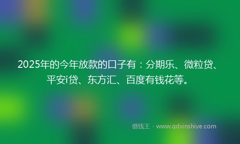2025年的今年放款的口子有：分期乐、微粒贷、平安i贷、东方汇、百度有钱花等。