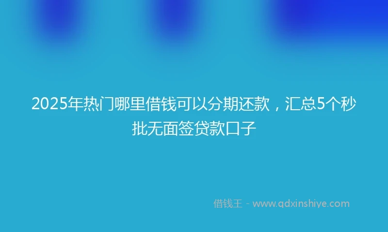 2025年热门哪里借钱可以分期还款，汇总5个秒批无面签贷款口子