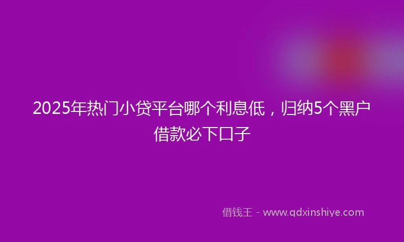 2025年热门小贷平台哪个利息低，归纳5个黑户借款必下口子