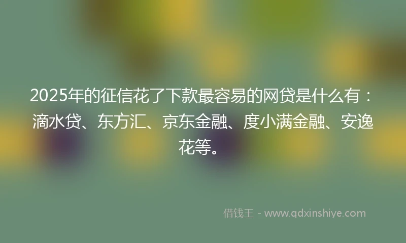 2025年的征信花了下款最容易的网贷是什么有：滴水贷、东方汇、京东金融、度小满金融、安逸花等。
