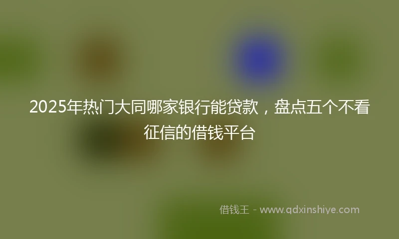 2025年热门大同哪家银行能贷款，盘点五个不看征信的借钱平台