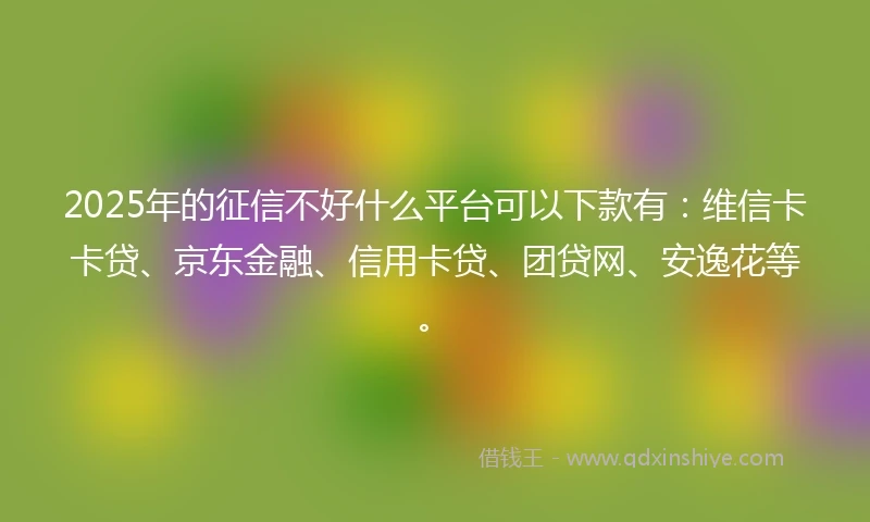 2025年的征信不好什么平台可以下款有：维信卡卡贷、京东金融、信用卡贷、团贷网、安逸花等。