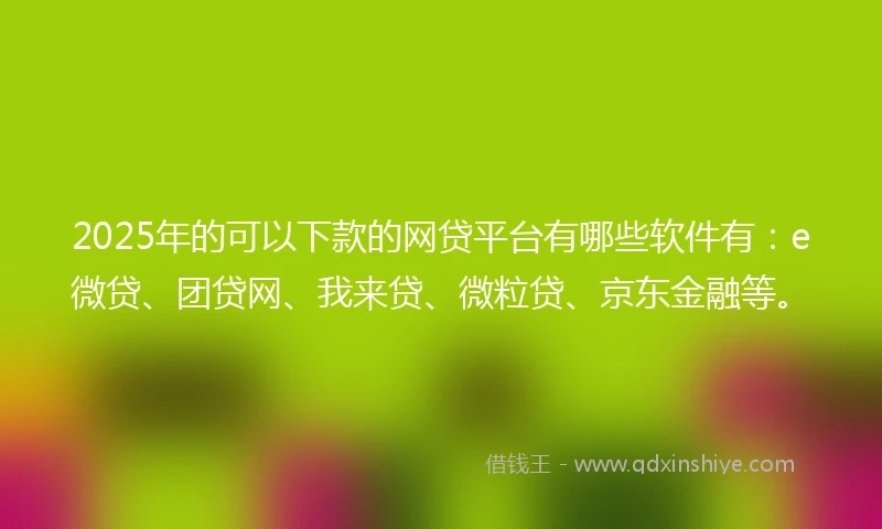 2025年的可以下款的网贷平台有哪些软件有：e微贷、团贷网、我来贷、微粒贷、京东金融等。