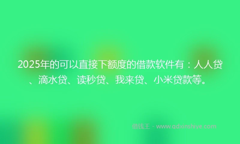 2025年的可以直接下额度的借款软件有：人人贷、滴水贷、读秒贷、我来贷、小米贷款等。