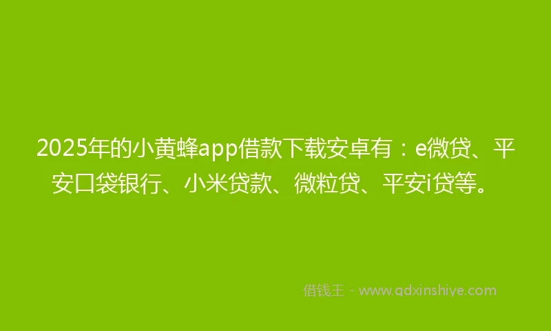 2025年的小黄蜂app借款下载安卓有：e微贷、平安口袋银行、小米贷款、微粒贷、平安i贷等。