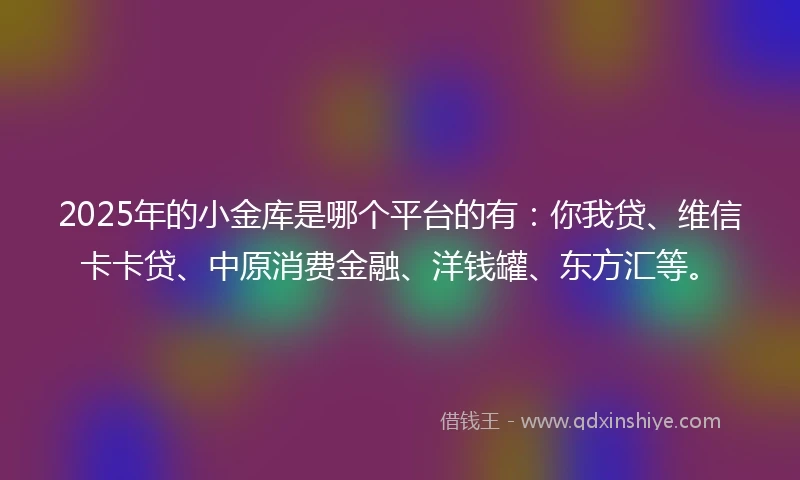 2025年的小金库是哪个平台的有：你我贷、维信卡卡贷、中原消费金融、洋钱罐、东方汇等。