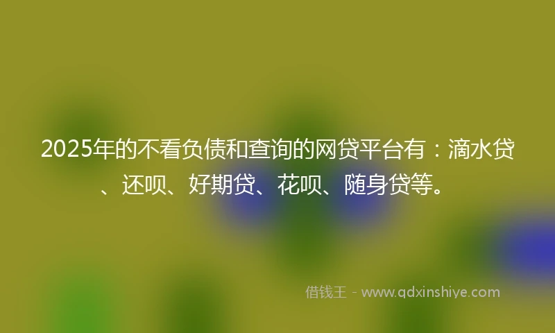 2025年的不看负债和查询的网贷平台有：滴水贷、还呗、好期贷、花呗、随身贷等。