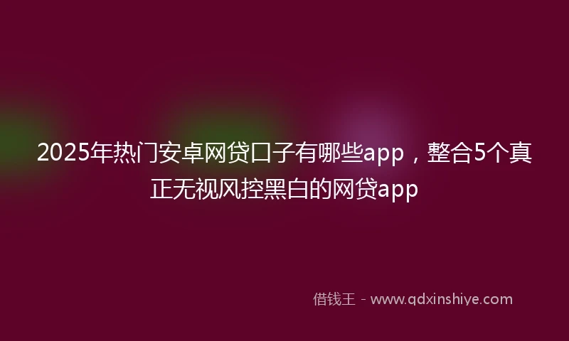 2025年热门安卓网贷口子有哪些app，整合5个真正无视风控黑白的网贷app
