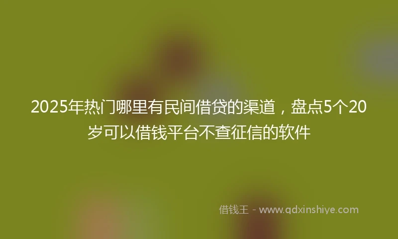 2025年热门哪里有民间借贷的渠道，盘点5个20岁可以借钱平台不查征信的软件