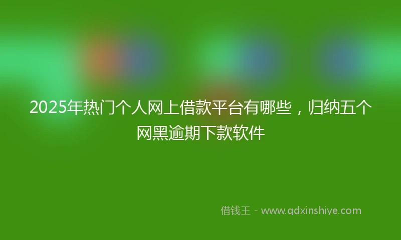 2025年热门个人网上借款平台有哪些，归纳五个网黑逾期下款软件
