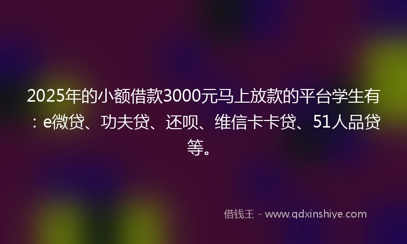 2025年的小额借款3000元马上放款的平台学生有：e微贷、功夫贷、还呗、维信卡卡贷、51人品贷等。