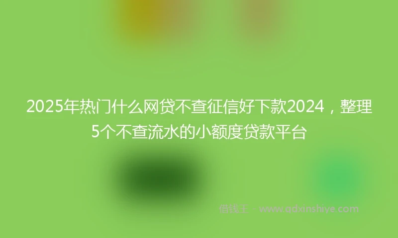 2025年热门什么网贷不查征信好下款2024，整理5个不查流水的小额度贷款平台