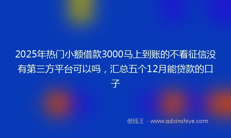 2025年热门小额借款3000马上到账的不看征信没有第三方平台可以吗，汇总五个12月能贷款的口子