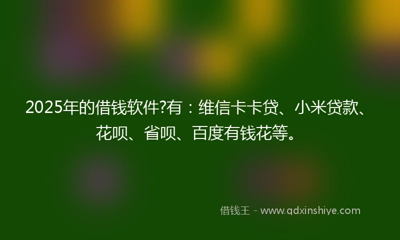2025年的借钱软件?有：维信卡卡贷、小米贷款、花呗、省呗、百度有钱花等。