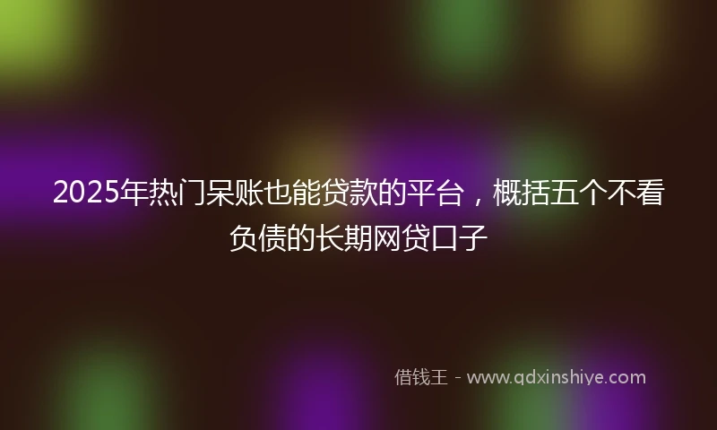 2025年热门呆账也能贷款的平台,概括五个不看负债的长期网贷口子