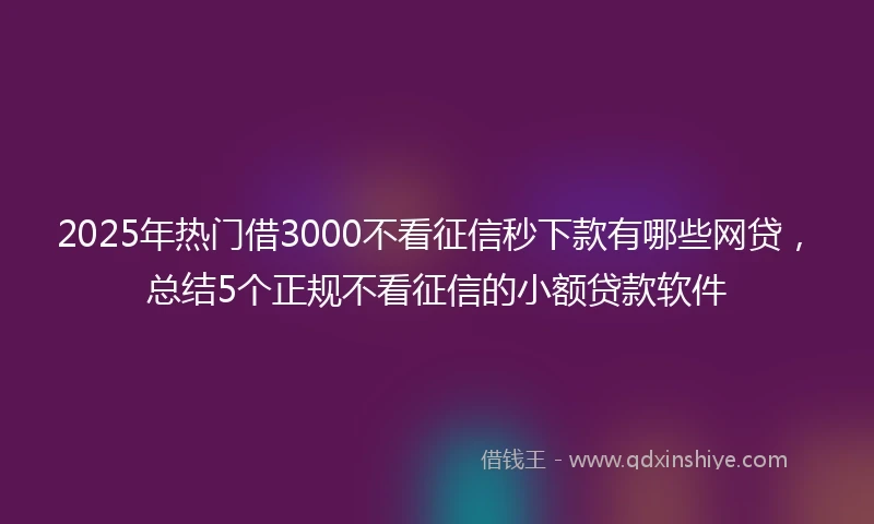 2025年热门借3000不看征信秒下款有哪些网贷，总结5个正规不看征信的小额贷款软件
