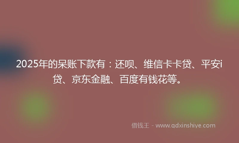 2025年的呆账下款有:还呗、维信卡卡贷、平安i贷、京东金融、百度有钱花等。
