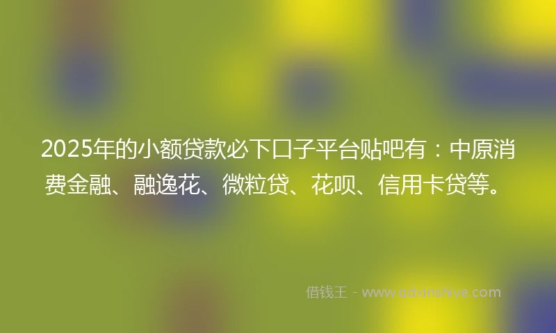 2025年的小额贷款必下口子平台贴吧有：中原消费金融、融逸花、微粒贷、花呗、信用卡贷等。