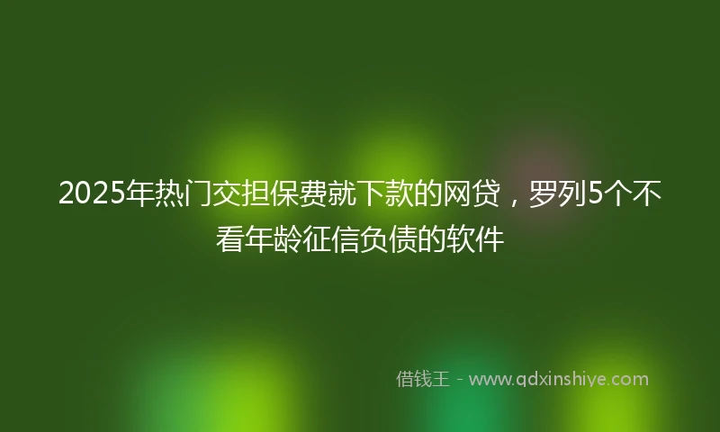 2025年热门交担保费就下款的网贷，罗列5个不看年龄征信负债的软件