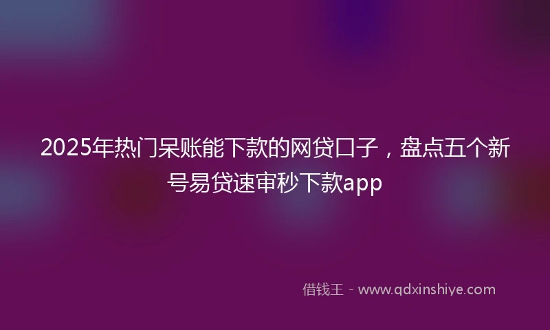 2025年热门呆账能下款的网贷口子，盘点五个新号易贷速审秒下款app