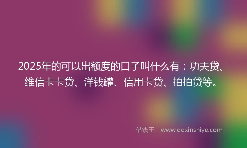 2025年的可以出额度的口子叫什么有：功夫贷、维信卡卡贷、洋钱罐、信用卡贷、拍拍贷等。