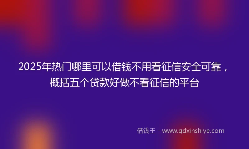 2025年热门哪里可以借钱不用看征信安全可靠，概括五个贷款好做不看征信的平台