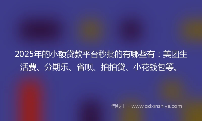 2025年的小额贷款平台秒批的有哪些有：美团生活费、分期乐、省呗、拍拍贷、小花钱包等。
