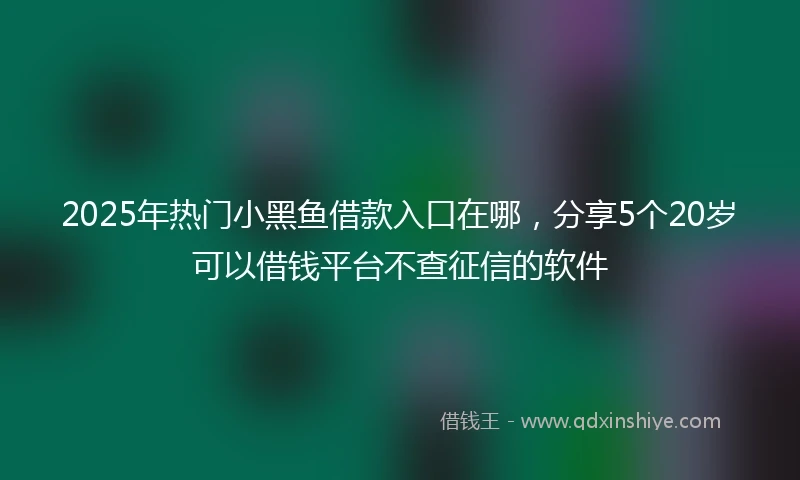 2025年热门小黑鱼借款入口在哪，分享5个20岁可以借钱平台不查征信的软件