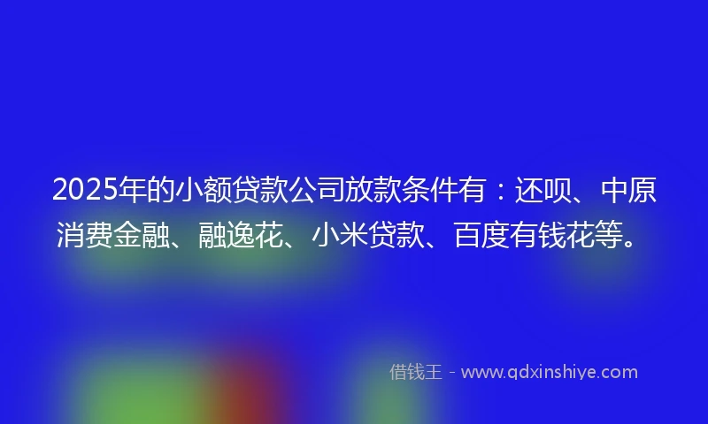 2025年的小额贷款公司放款条件有：还呗、中原消费金融、融逸花、小米贷款、百度有钱花等。