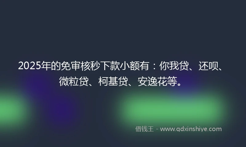 2025年的免审核秒下款小额有：你我贷、还呗、微粒贷、柯基贷、安逸花等。