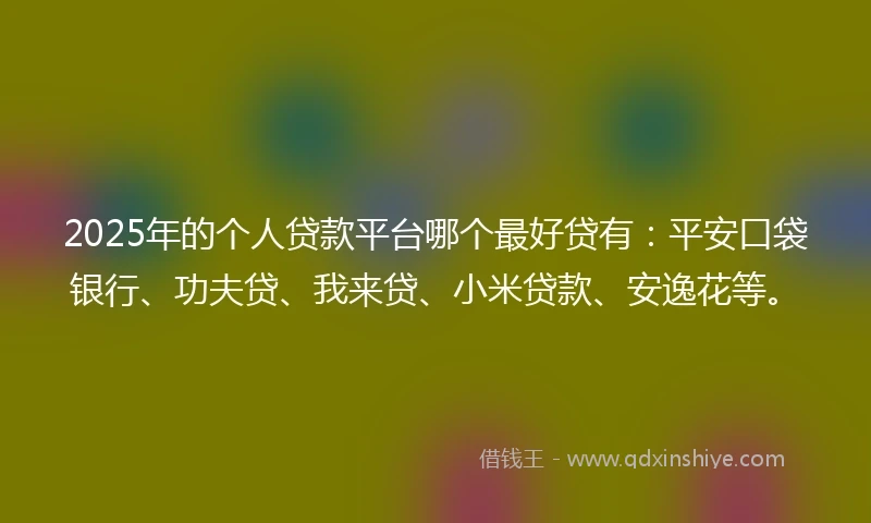 2025年的个人贷款平台哪个最好贷有：平安口袋银行、功夫贷、我来贷、小米贷款、安逸花等。