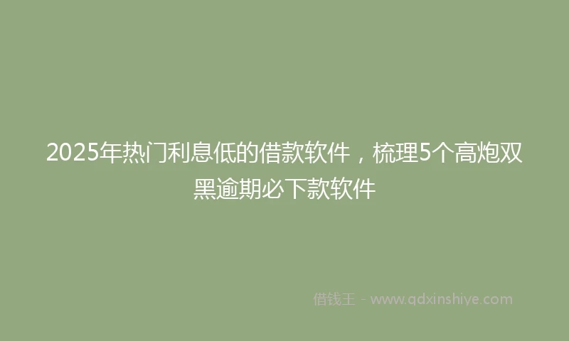 2025年热门利息低的借款软件，梳理5个高炮双黑逾期必下款软件