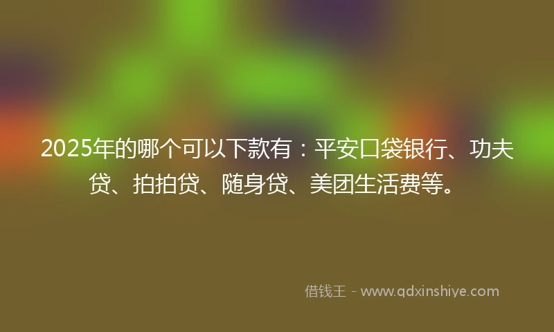 2025年的哪个可以下款有：平安口袋银行、功夫贷、拍拍贷、随身贷、美团生活费等。