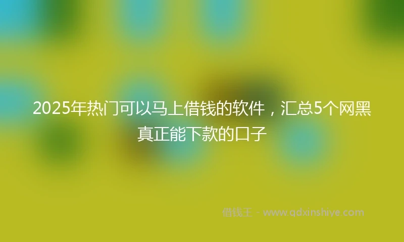 2025年热门可以马上借钱的软件，汇总5个网黑真正能下款的口子
