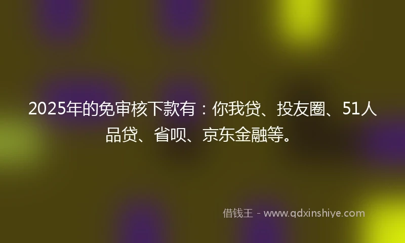 2025年的免审核下款有：你我贷、投友圈、51人品贷、省呗、京东金融等。