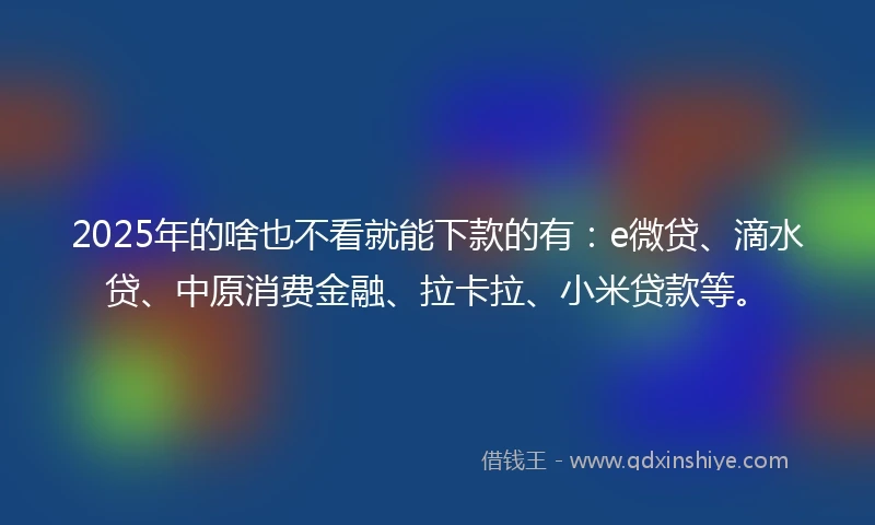 2025年的啥也不看就能下款的有：e微贷、滴水贷、中原消费金融、拉卡拉、小米贷款等。