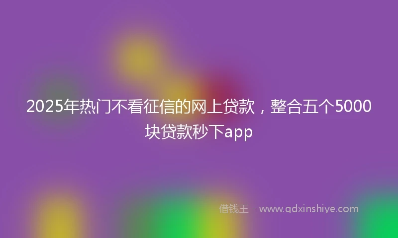 2025年热门不看征信的网上贷款，整合五个5000块贷款秒下app